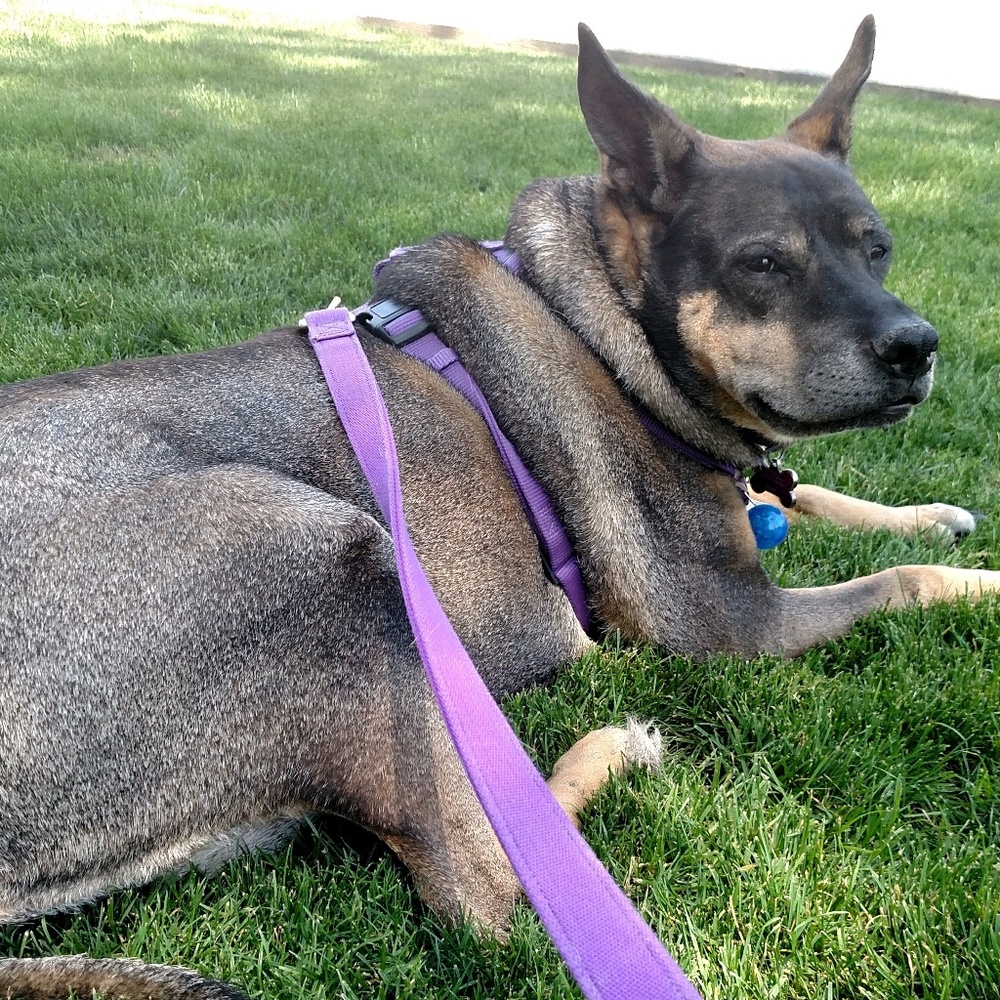 Meet your Posher, Renee